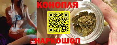 крисы Мариинск