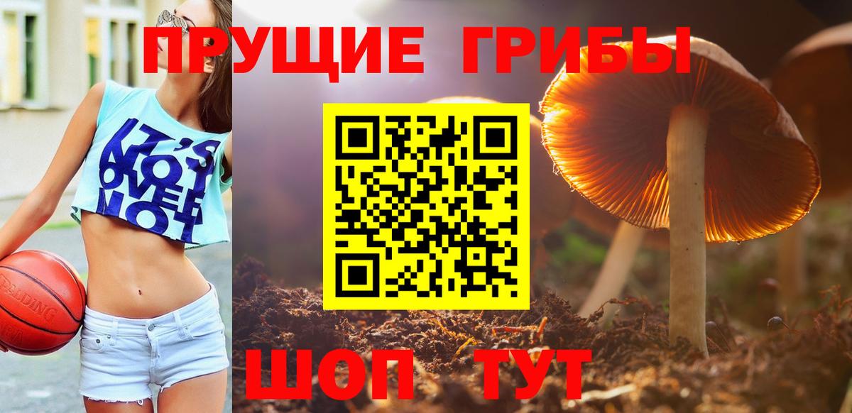 Псилоцибиновые грибы MAGIC MUSHROOMS  Вход с VPN  Шелехов 