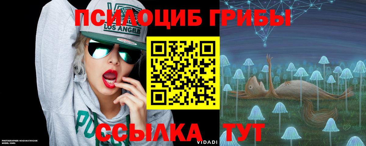 Галлюциногенные грибы GOLDEN TEACHER Шелехов